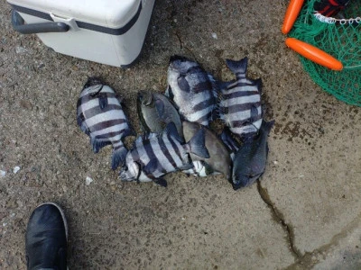 美代志丸の2025年12月20日(土)2枚目の写真