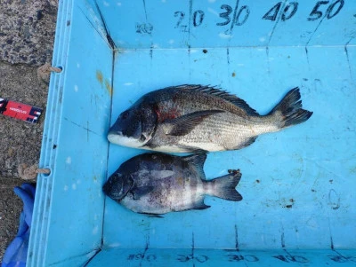 美代志丸の2025年12月20日(土)3枚目の写真