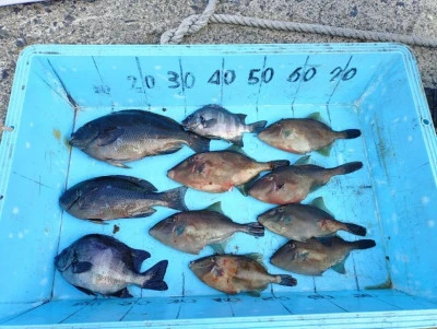 美代志丸の2025年12月20日(土)4枚目の写真