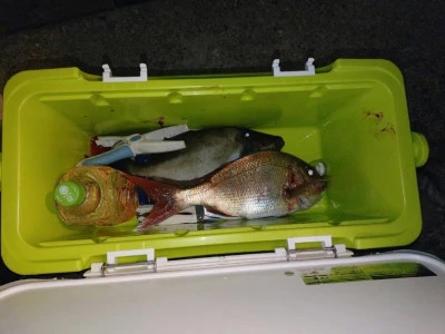 美代志丸の2025年12月20日(土)5枚目の写真