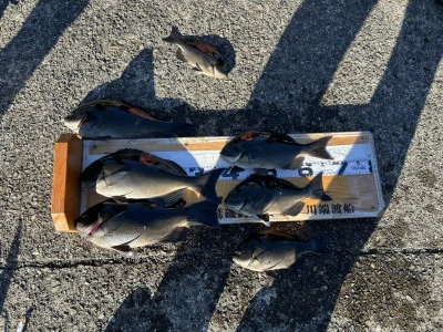 川端渡船の2025年12月22日(月)1枚目の写真