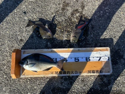 川端渡船の2025年12月22日(月)2枚目の写真