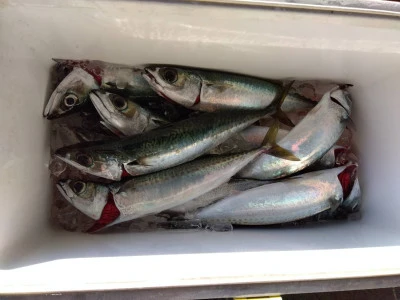 優幸丸の2025年12月22日(月)1枚目の写真