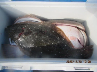 大洗丸の2025年12月23日(火)3枚目の写真