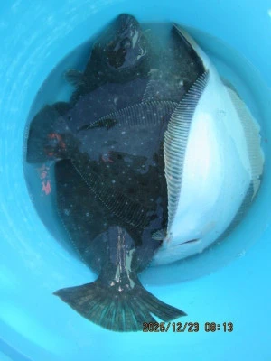 大洗丸の2025年12月23日(火)4枚目の写真