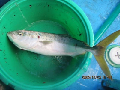 大洗丸の2025年12月23日(火)5枚目の写真