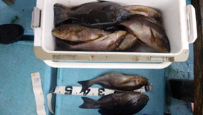 紀丸の2025年12月24日(水)2枚目の写真