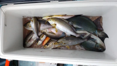 紀丸の2025年12月24日(水)3枚目の写真