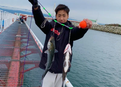 尼崎市立魚つり公園の2025年12月24日(水)1枚目の写真