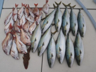 まお丸の2025年12月21日(日)1枚目の写真