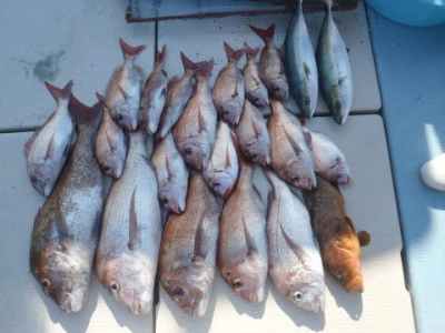 まお丸の2025年12月7日(日)1枚目の写真