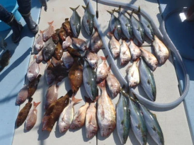 まお丸の2025年12月6日(土)1枚目の写真