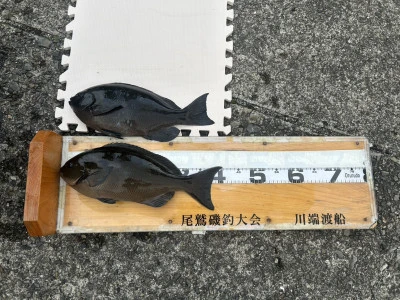 川端渡船の2025年12月26日(金)1枚目の写真