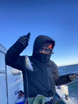 船宿 まる八の2026年1月3日(土)2枚目の写真