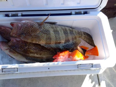 優幸丸の2025年12月28日(日)1枚目の写真