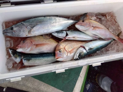 優幸丸の2025年12月29日(月)1枚目の写真