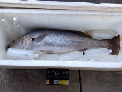 優幸丸の2025年12月30日(火)1枚目の写真