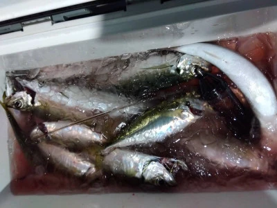 優幸丸の2025年12月30日(火)2枚目の写真