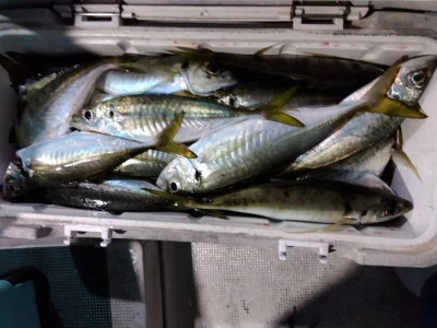 優幸丸の2025年12月30日(火)3枚目の写真