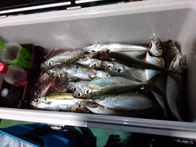 優幸丸の2025年12月30日(火)4枚目の写真