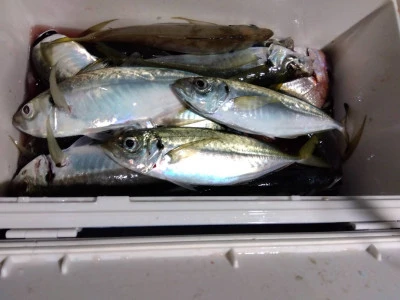 優幸丸の2025年12月30日(火)5枚目の写真