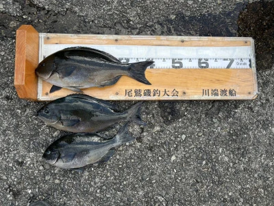 川端渡船の2025年12月27日(土)1枚目の写真