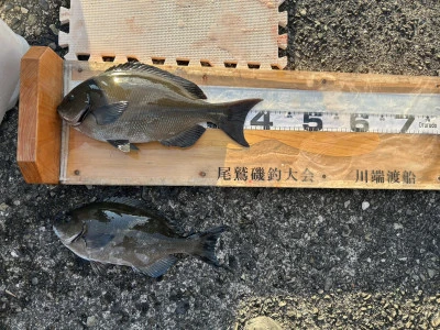 川端渡船の2025年12月28日(日)1枚目の写真