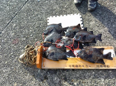 川端渡船の2025年12月28日(日)3枚目の写真