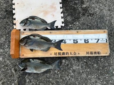 川端渡船の2025年12月29日(月)1枚目の写真