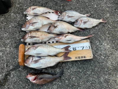 川端渡船の2025年12月29日(月)2枚目の写真