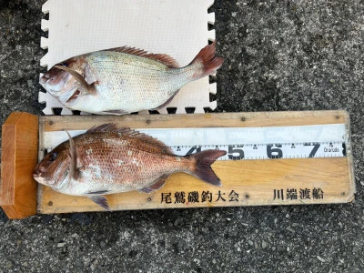 川端渡船の2025年12月29日(月)3枚目の写真