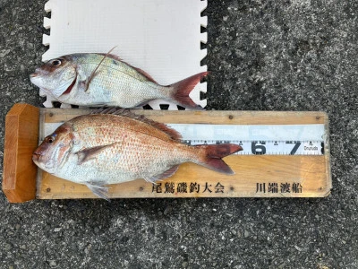 川端渡船の2025年12月29日(月)4枚目の写真