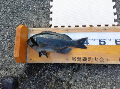 川端渡船の2025年12月29日(月)5枚目の写真