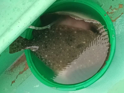 孝徳丸の2026年1月5日(月)5枚目の写真