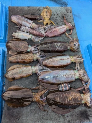 日正丸の2026年1月5日(月)2枚目の写真