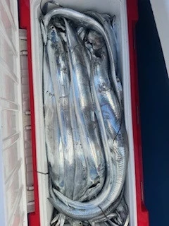 豊丸の2026年1月4日(日)3枚目の写真