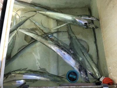 ARCADIA SALTWATER SERVICEの2026年1月5日(月)5枚目の写真