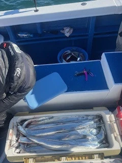 豊丸の2026年1月3日(土)5枚目の写真