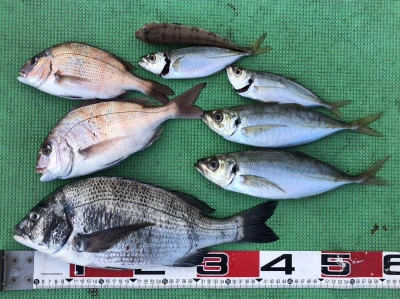 宝徳丸の2025年12月29日(月)2枚目の写真