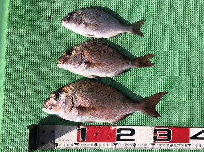 宝徳丸の2026年1月2日(金)2枚目の写真