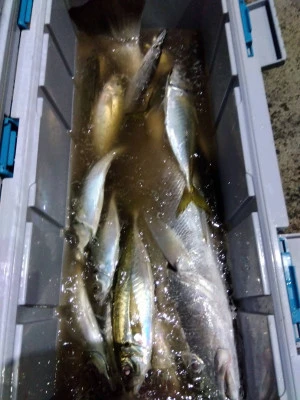 優幸丸の2026年1月6日(火)1枚目の写真