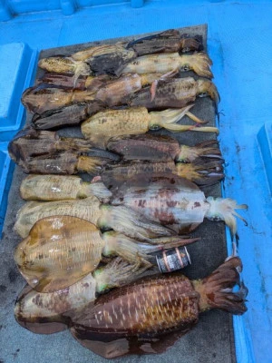 日正丸の2025年12月30日(火)2枚目の写真