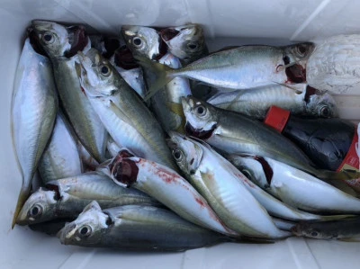 宝徳丸の2025年12月28日(日)2枚目の写真