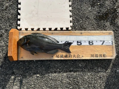 川端渡船の2026年1月7日(水)2枚目の写真