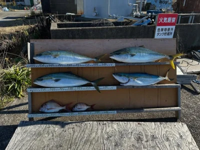 大島フィッシングの2026年1月6日(火)2枚目の写真