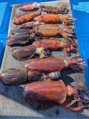 日正丸の2026年1月7日(水)2枚目の写真