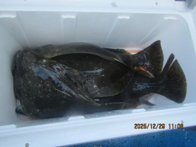 大洗丸の2025年12月29日(月)3枚目の写真