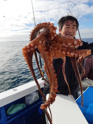 豊丸の2025年12月29日(月)1枚目の写真