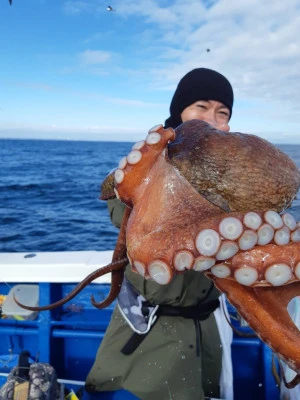 豊丸の2025年12月29日(月)2枚目の写真