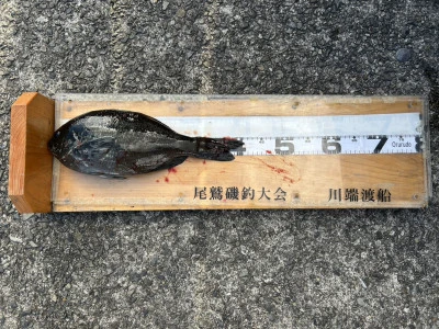 川端渡船の2026年1月8日(木)1枚目の写真